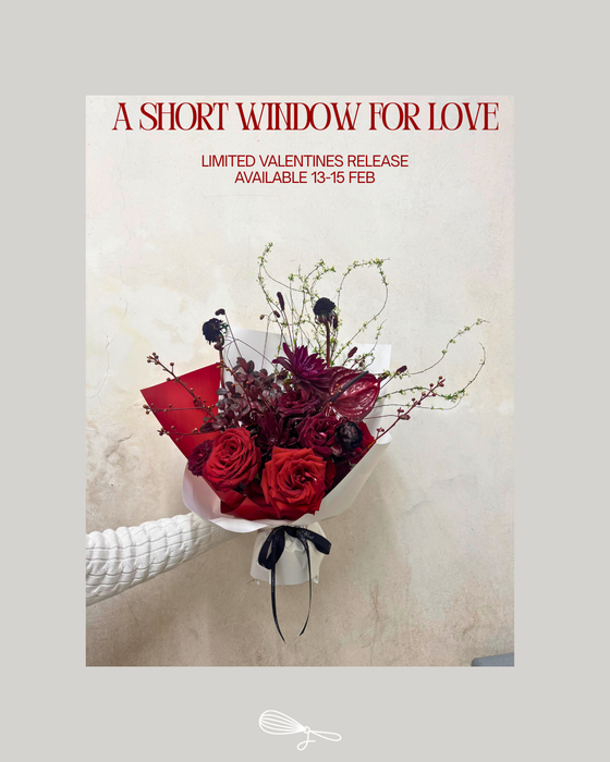 Valentines Edit 2026